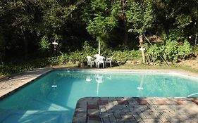 Impala Niezel Lodge & Guest House